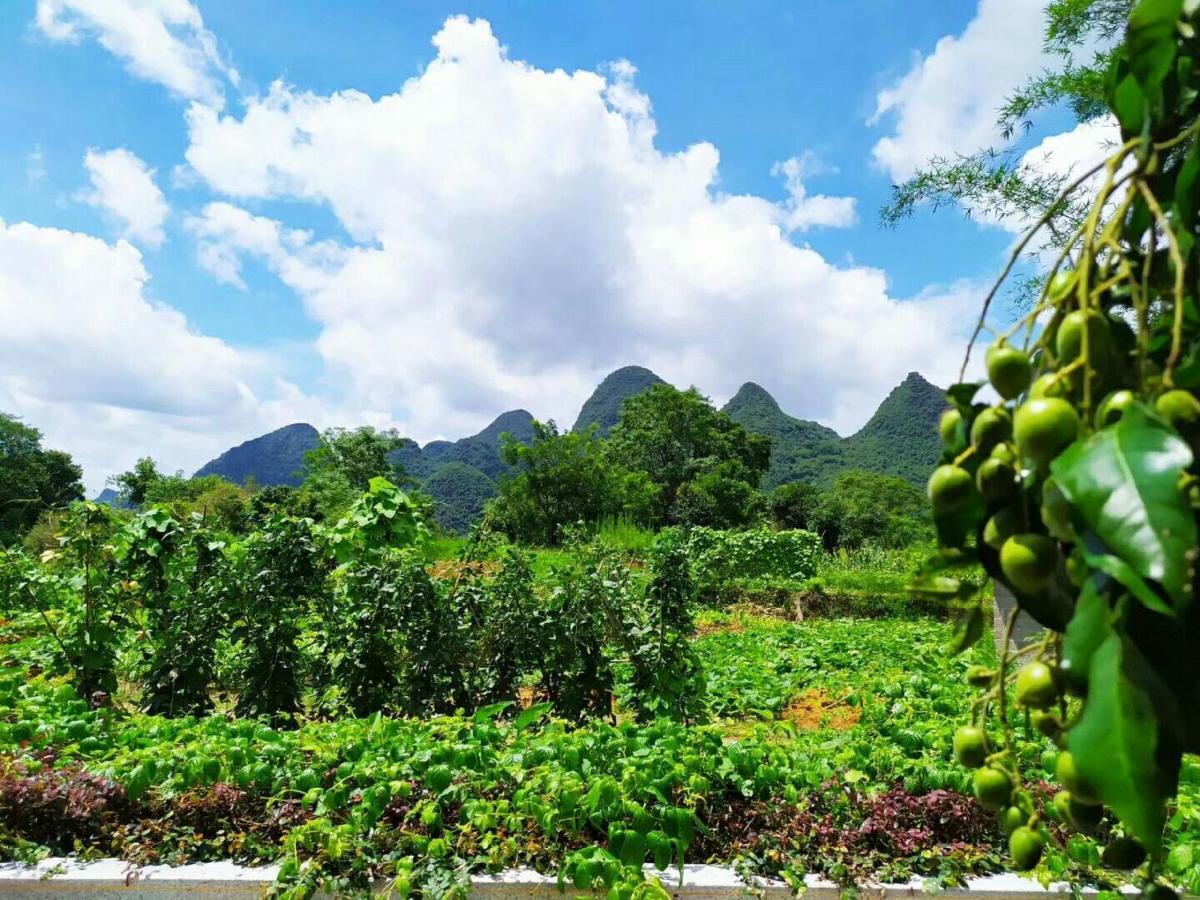 阳朔可可花园度假酒店 外观 照片